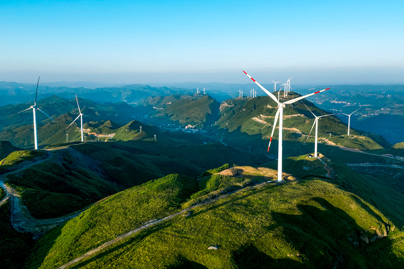 company and help the company further expand and become stronger.